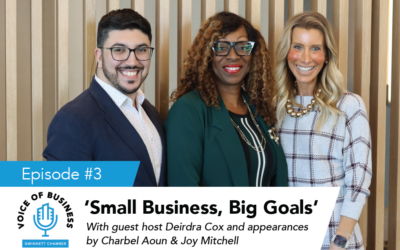 Voice of Business – Small Business, Big Goals