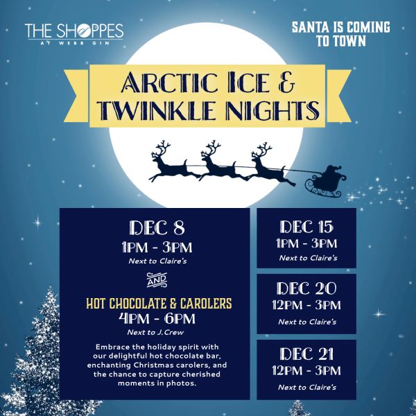 Arctic Ice and Twinkle Nights @ Shoppes at Webb Gin |  |  | 